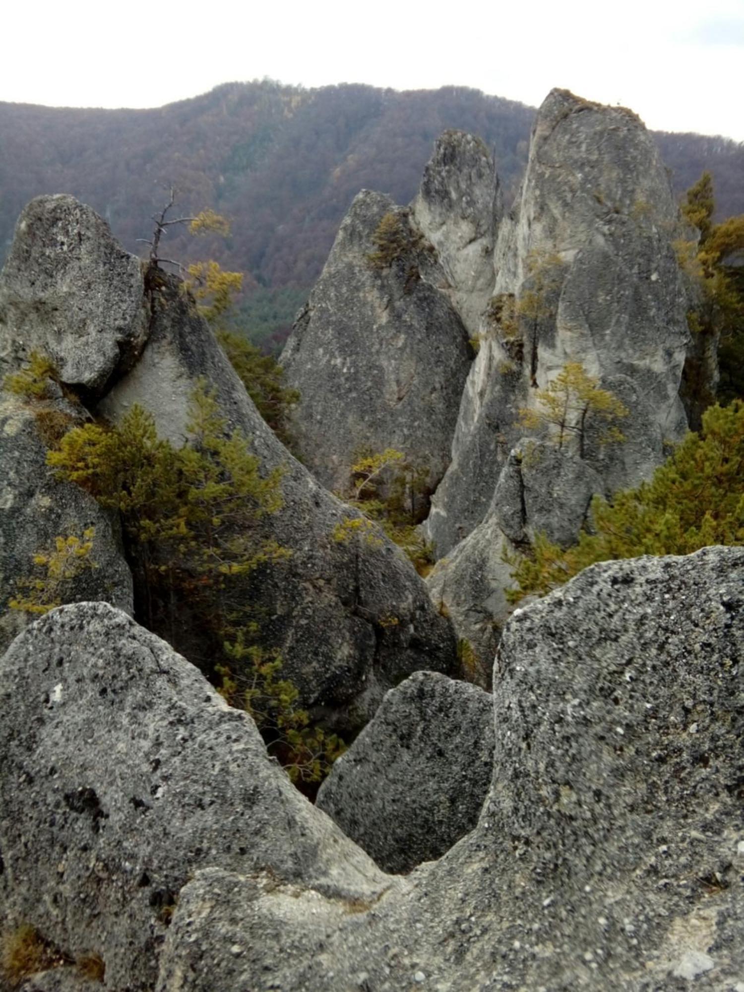 Appartamento Castle Kaštieľ Kotešová Esterno foto