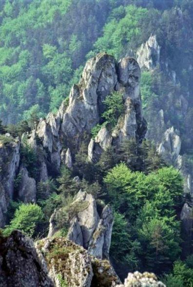 Appartamento Castle Kaštieľ Kotešová Esterno foto